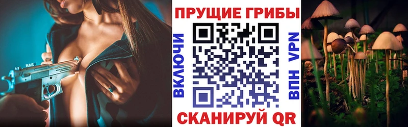 Псилоцибиновые грибы ЛСД  omg ССЫЛКА  Краснотурьинск  наркота 